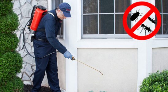 Doğanşehir Dezenfeksiyon böcek ilaçlama ve haşere kontrolü — ilaclama-tr.com